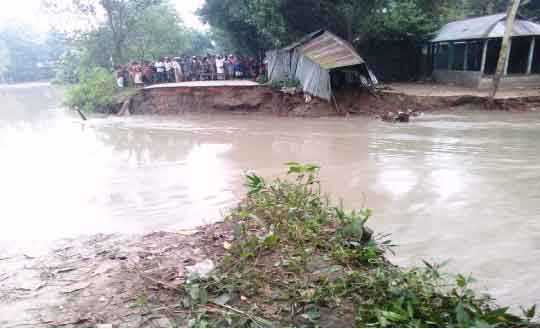 তারাকান্দি, গোপালপুর, ভুয়াপুর, ঘাটাইল, মধুপুর, টাঙ্গাইল পানি উন্নয়ন বোর্ড, বালির বস্তা, জিও ব্যাগ, বাঁধ রক্ষা